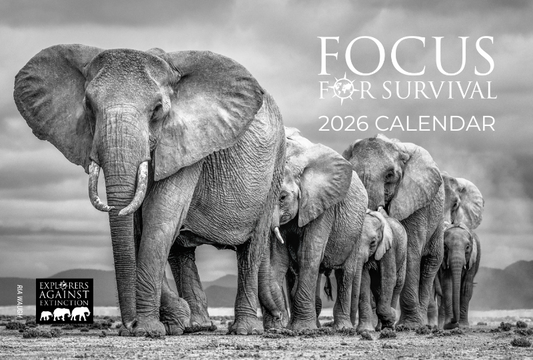 Focus for Survival Calendar