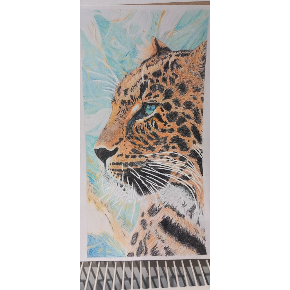 Sketch for Survival Junior Highly Commended Artworks