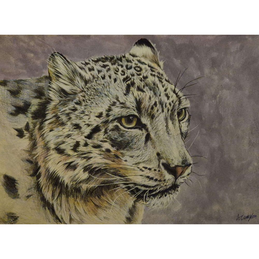 Sketch for Survival Highly Commended Artwork
