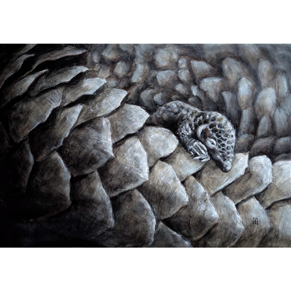 Sketch for Survival Highly Commended Artwork