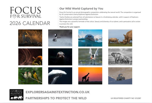Focus for Survival Calendar