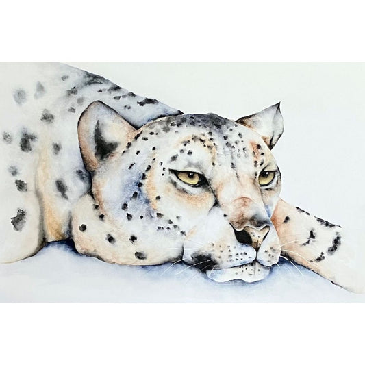 Did Someone Say Nap Time?