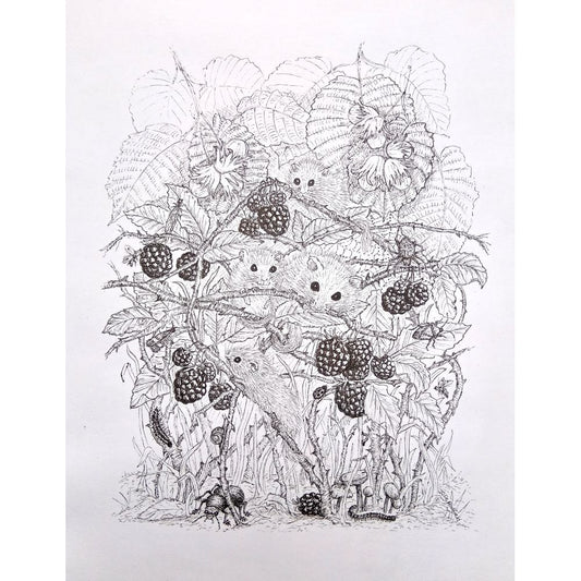 The Blackberry Pickers