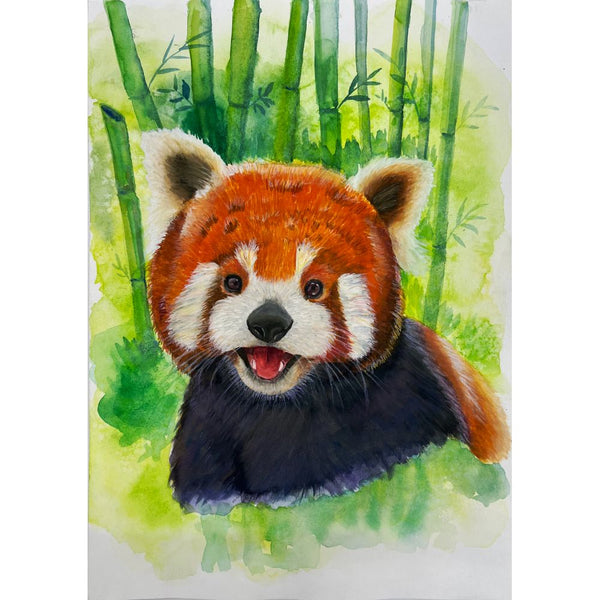 Adorable Red Panda