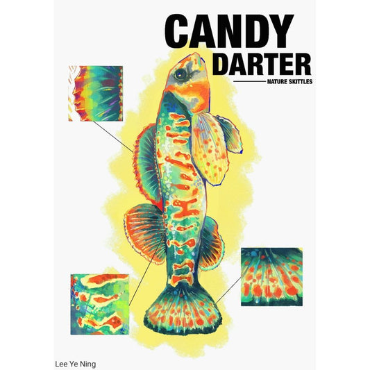 Candy Darter:Nature Skittles