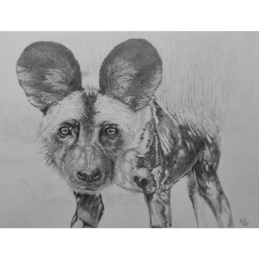 Drifting into Silence