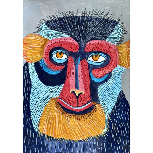 The Colourful Faced Monkey from Africa