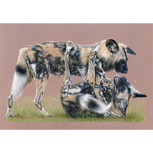 Wilder Than They Know