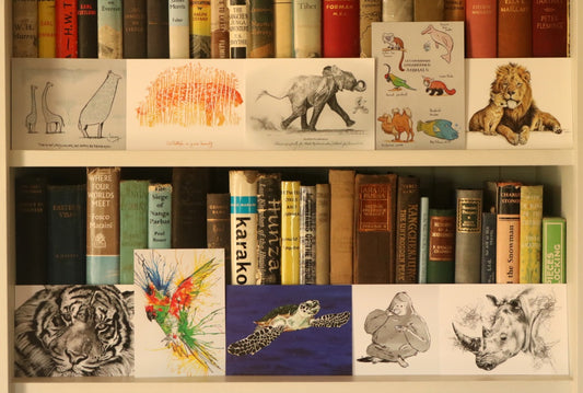 Postcards - set of 10