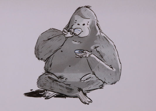 Postcards - set of 10