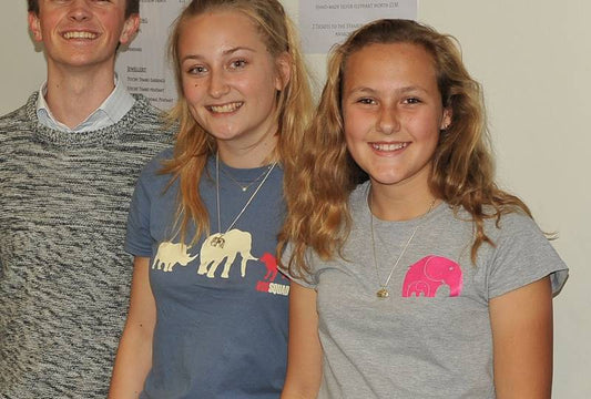 Titchy Tembo Ladies Tshirt