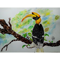 Hornbill