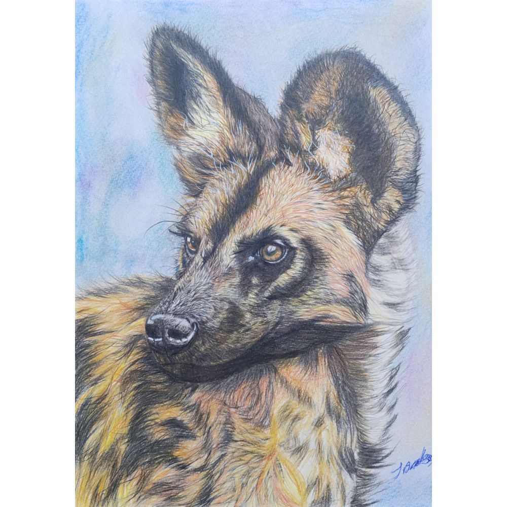 Sketch for Survival Highly Commended Artwork