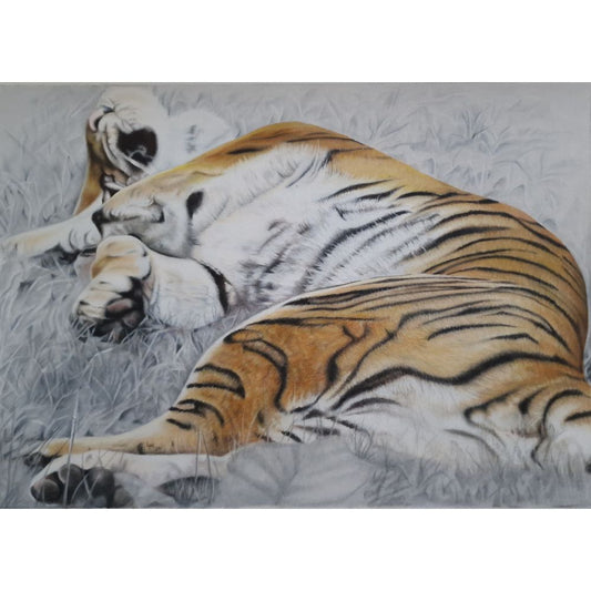 Sketch for Survival Highly Commended Artwork