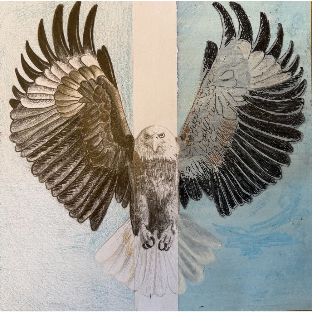 Sketch for Survival Junior Highly Commended Artworks