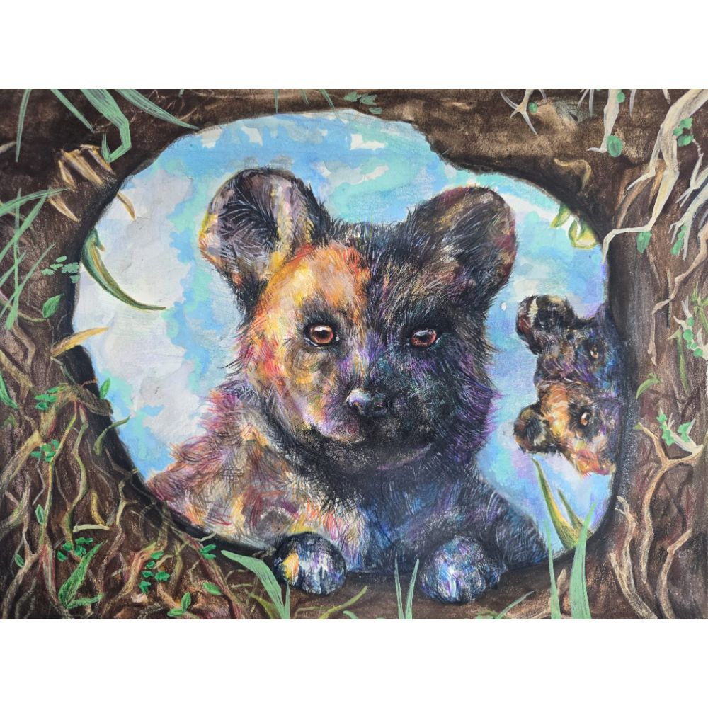 Sketch for Survival Junior Highly Commended Artworks