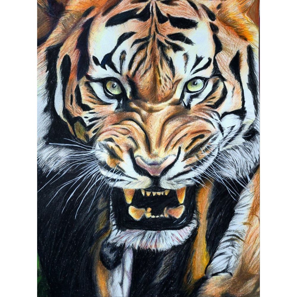 Sketch for Survival Junior Highly Commended Artworks