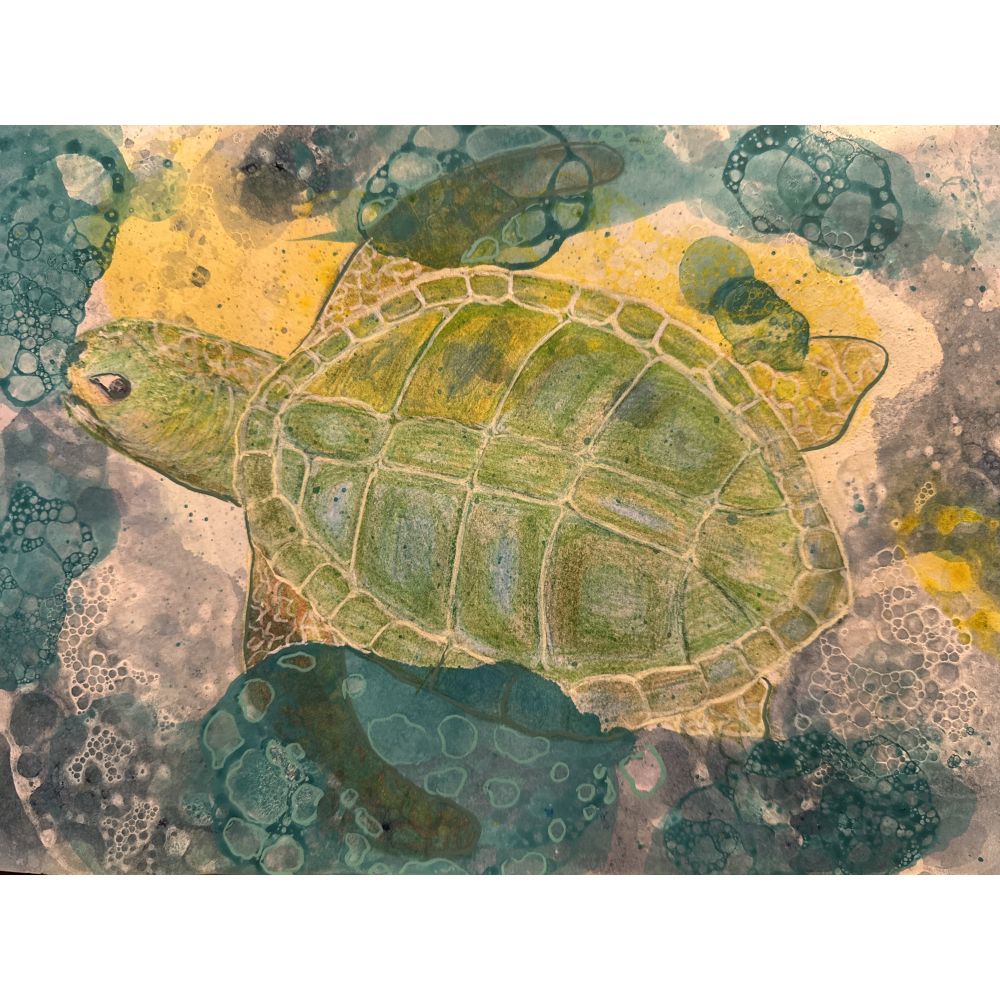 Sketch for Survival Junior Highly Commended Artworks