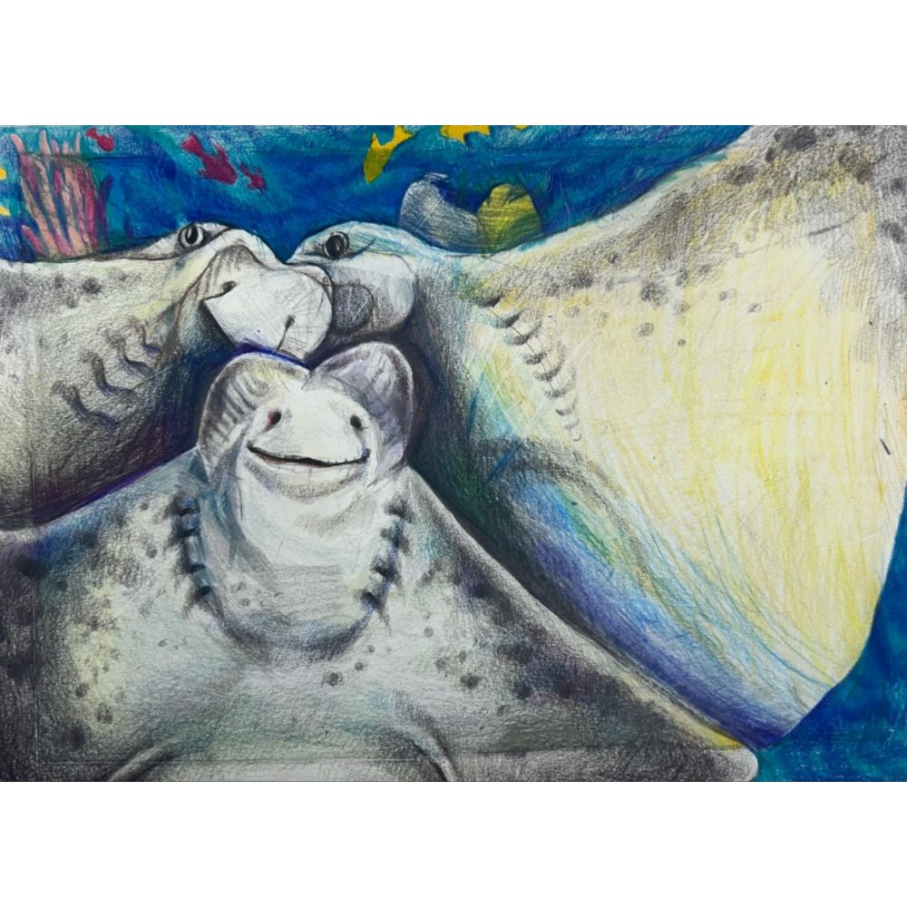 Sketch for Survival Junior Highly Commended Artworks