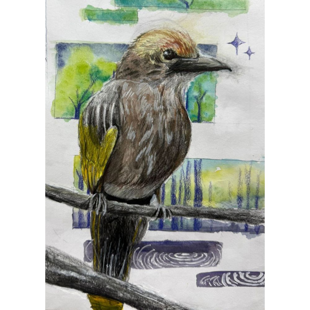 Sketch for Survival Junior Highly Commended Artworks