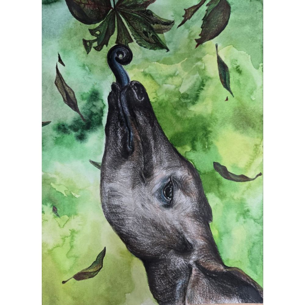 Sketch for Survival Junior Highly Commended Artworks