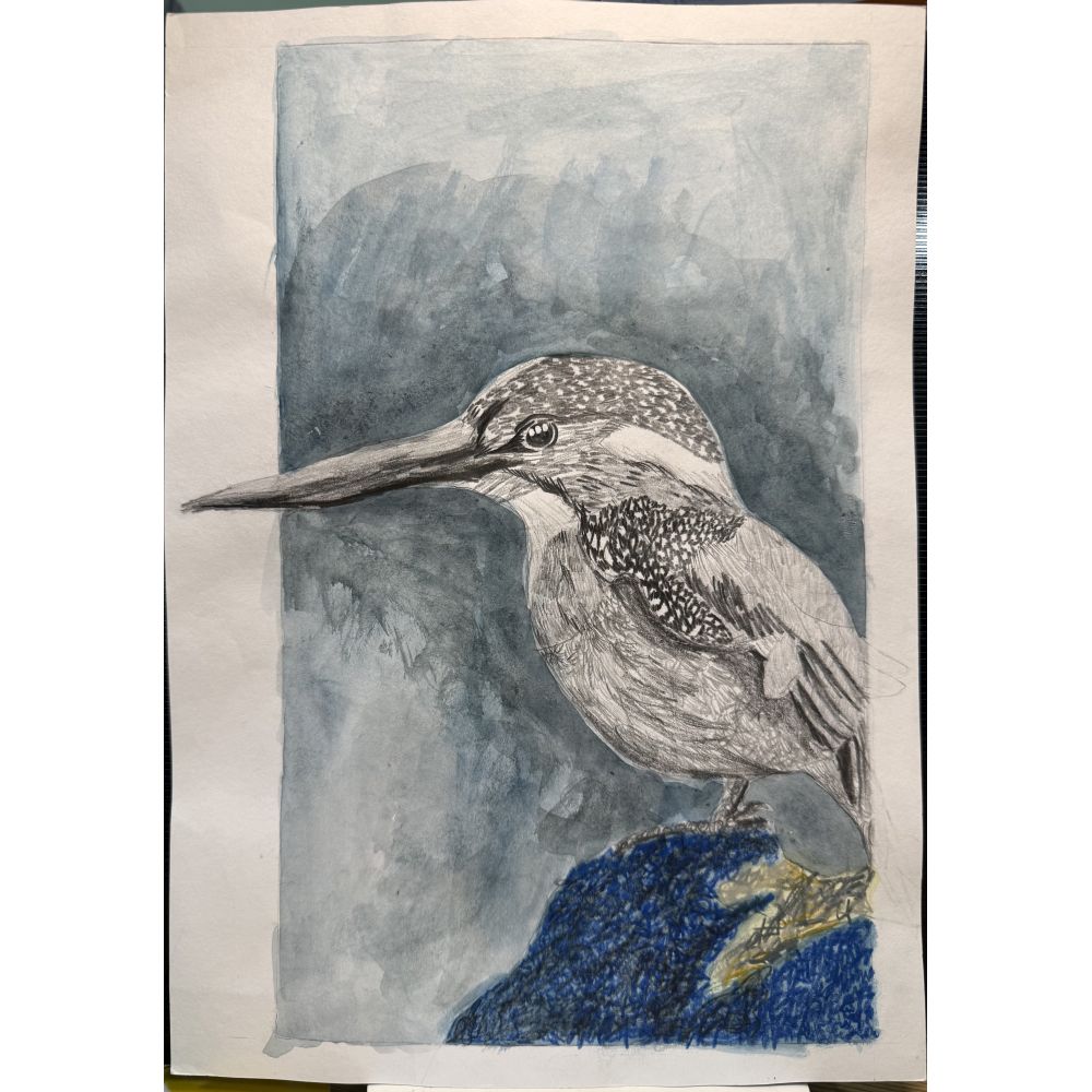 Sketch for Survival Junior Highly Commended Artworks