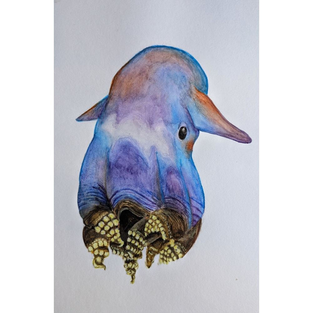 Sketch for Survival Junior Highly Commended Artworks