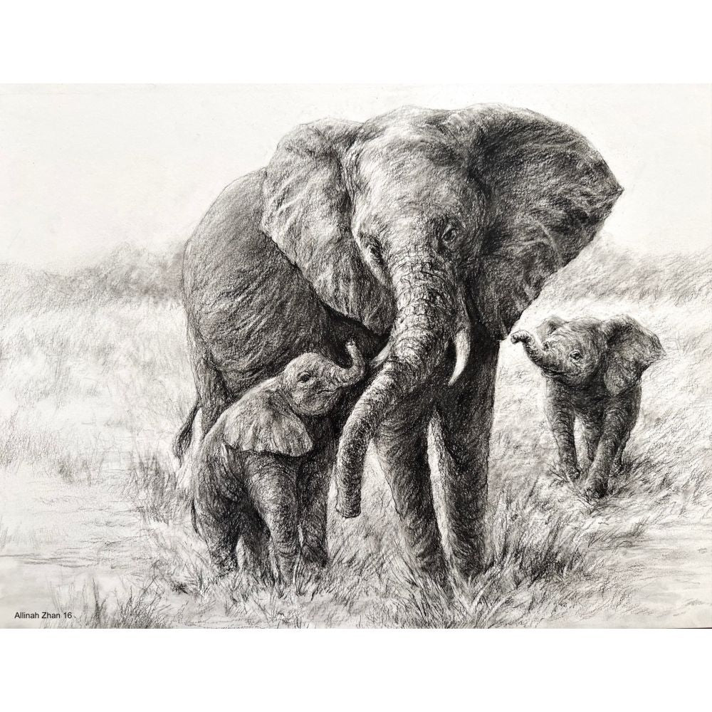 Sketch for Survival Junior Highly Commended Artworks