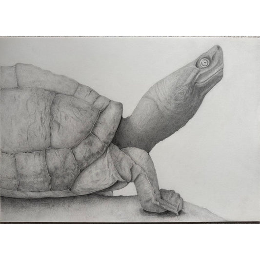Sketch for Survival Highly Commended Artwork