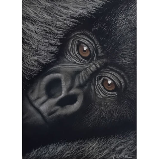 Sketch for Survival Highly Commended Artwork
