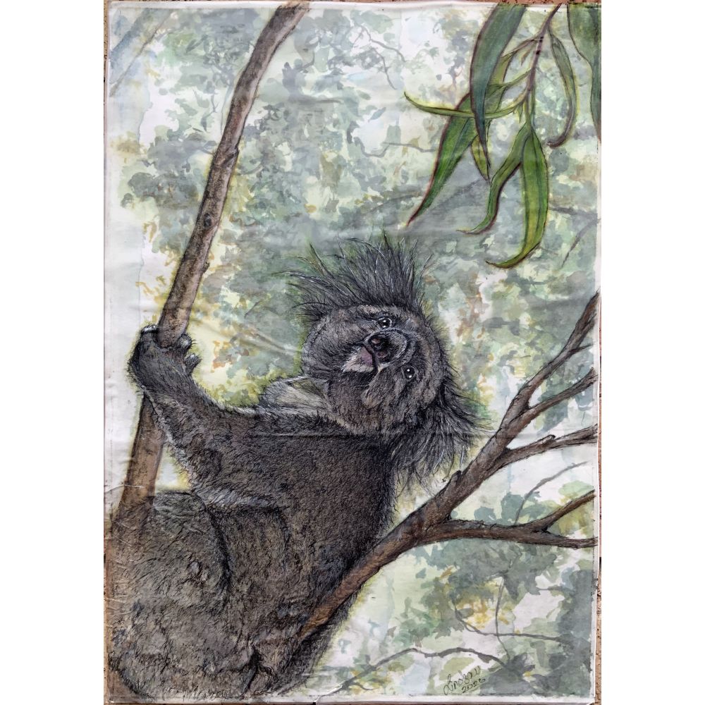 Sketch for Survival Highly Commended Artwork