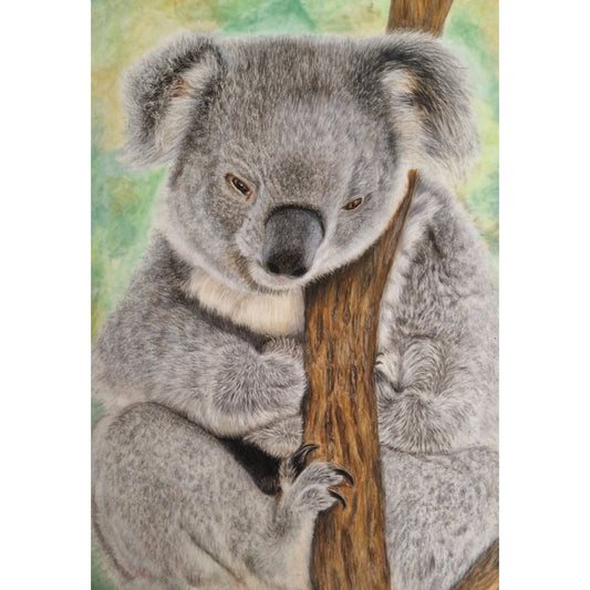 Sketch for Survival Highly Commended Artwork