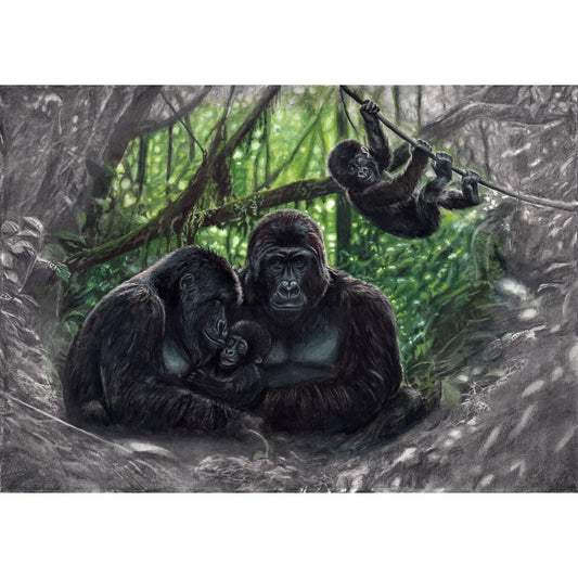 Sketch for Survival Highly Commended Artwork