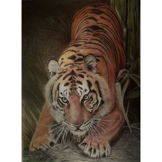 Sketch for Survival Highly Commended Artwork