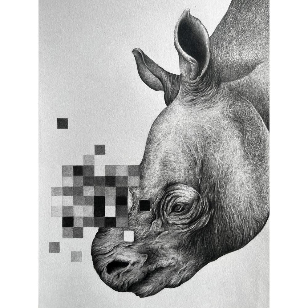 Sketch for Survival Highly Commended Artwork
