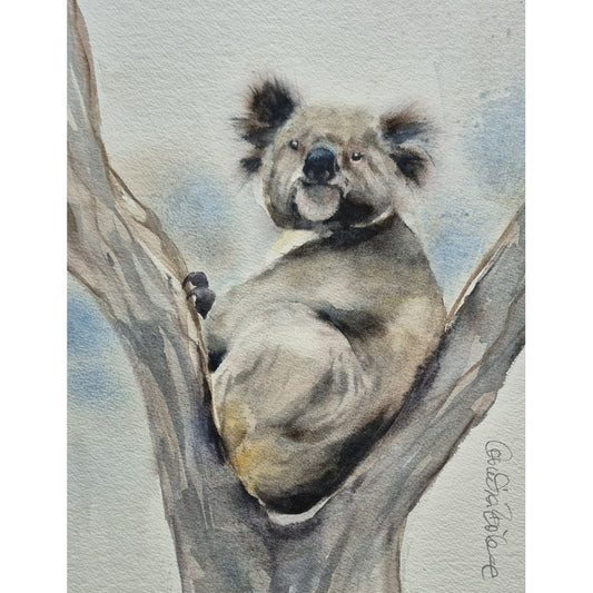 Sketch for Survival Highly Commended Artwork