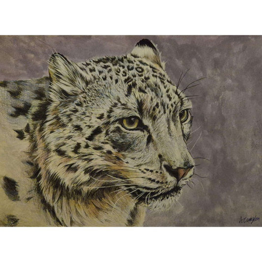 Sketch for Survival Highly Commended Artwork