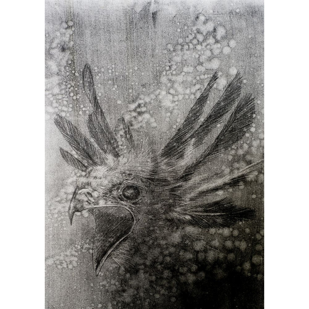 Sketch for Survival Highly Commended Artwork