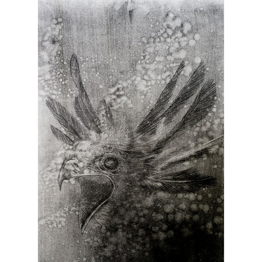 Sketch for Survival Highly Commended Artwork