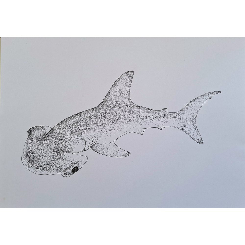 Sketch for Survival Highly Commended Artwork