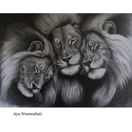 Sketch for Survival Highly Commended Artwork