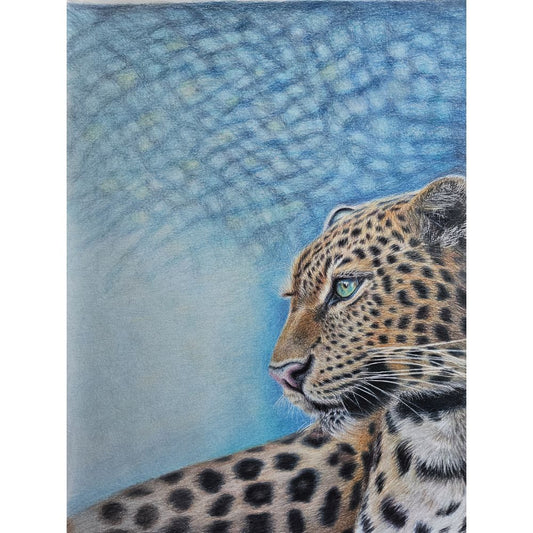 Sketch for Survival Highly Commended Artwork