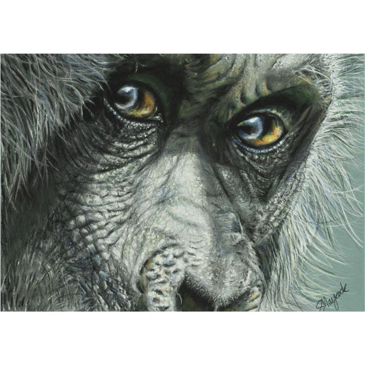 Sketch for Survival Highly Commended Artwork