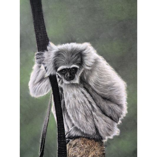 Sketch for Survival Highly Commended Artwork