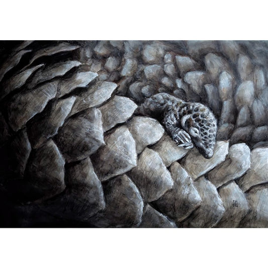 Sketch for Survival Highly Commended Artwork