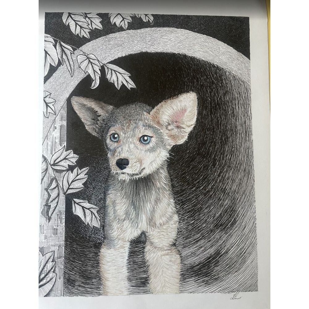 Sketch for Survival Highly Commended Artwork