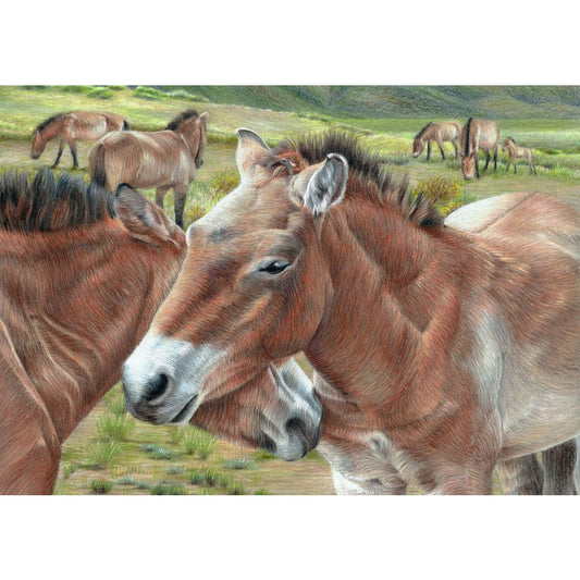 Wild Horses