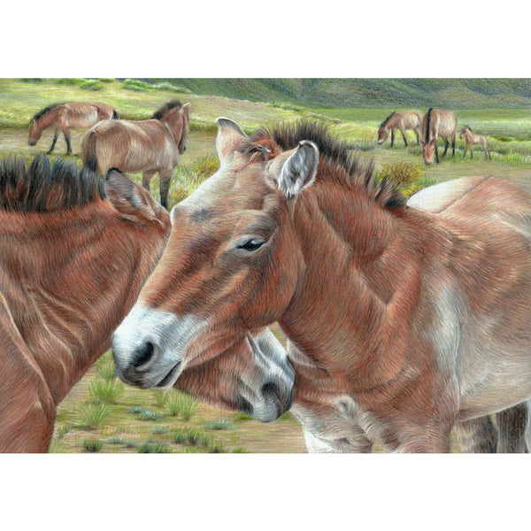 Wild Horses