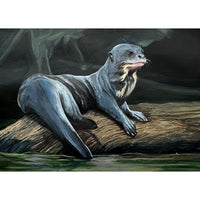 Pteronura brasiliensis (Giant Otter)
