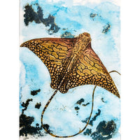The Siren's Wings